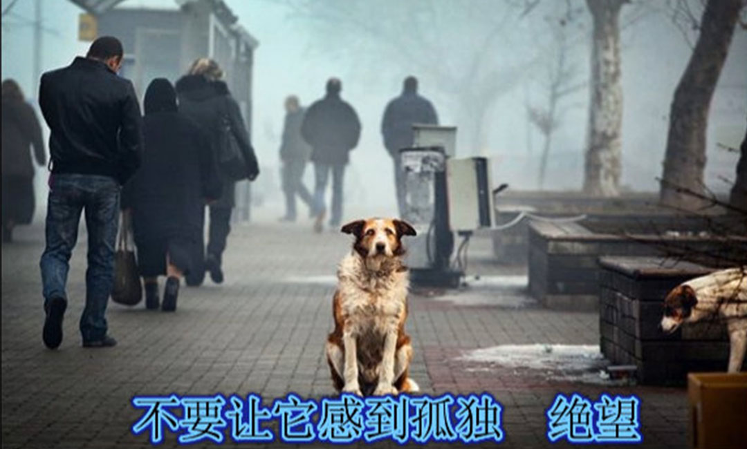 迪庆迪庆爱影圈微博微信转发案例